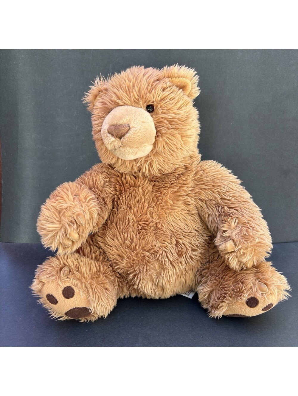 GUND Brown Bear With Claws What Do You See  14” Plush Kohls Cares Stuffed Animal